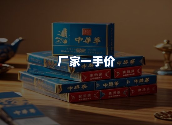 专业团队办公环境